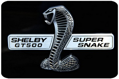 logo shelby gt500 super snake 